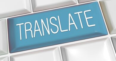 Problème de traduction dans WordPress