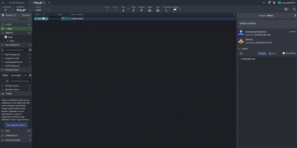 Gitkraken : vue d'un repository